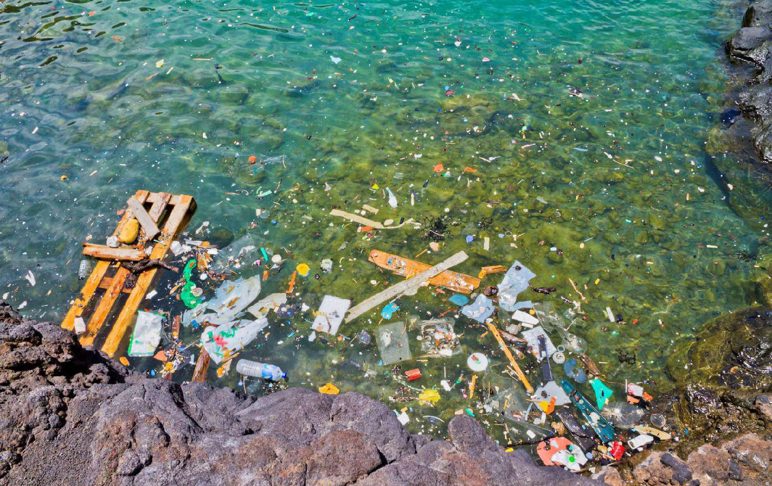 痛心!海洋塑料污染严重 这世界上已几乎没有纯净之海